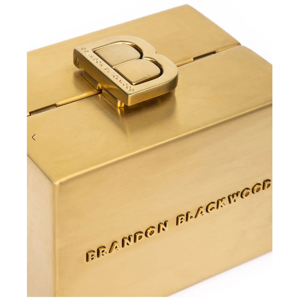 Brandon Blackwood Mini Metal Minaudière Evening Bag in Gold with Chain - Picture 3 of 12
